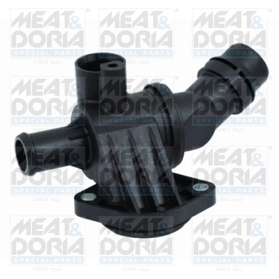 Thermostat, coolant